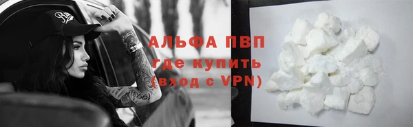 крисы Алзамай