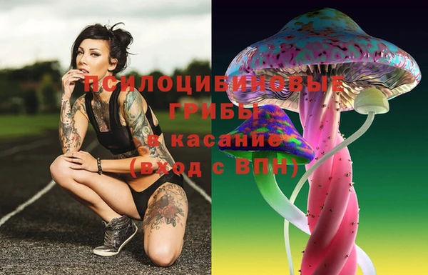 герыч Алексин