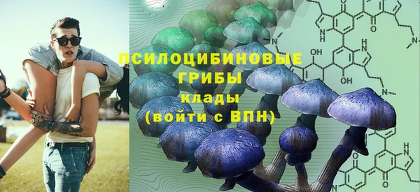 крисы Алзамай