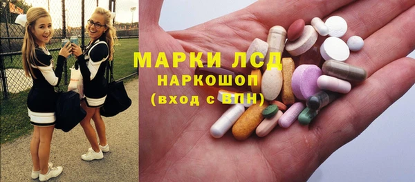 крисы Алзамай
