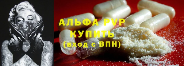 сатива Армянск