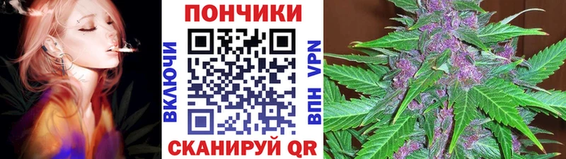 где купить наркотик  Набережные Челны  Бошки Шишки семена 